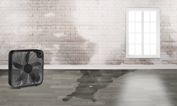 Best Ceiling water damage repair  in Eddyville, KY