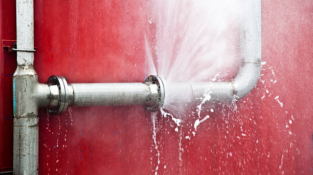 Best Water damage restoration cost  in Eddyville, KY